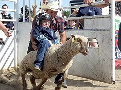 Mutton Busting