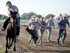 Wild Horse Race
